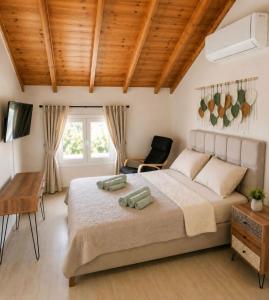 Pura Vida Suite by Fenia