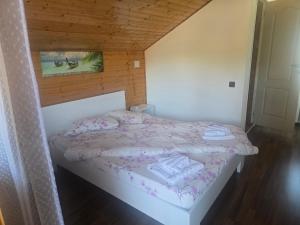 Casa Baciu
