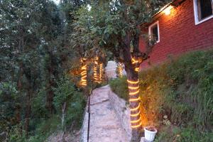 The Peach Hillside, Kainchi Dham
