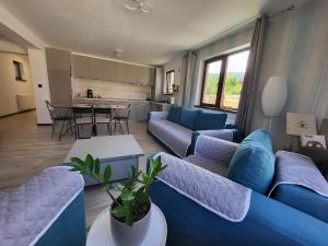 Casa Anima Călimănești Căciulata