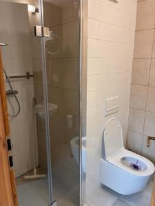 Apartmán v domě se zahradou