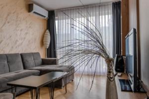 Central Free Parking Two Bedroom Sidera Apartment Ohrid