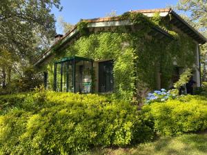 Casa Rural Finca De Musgo