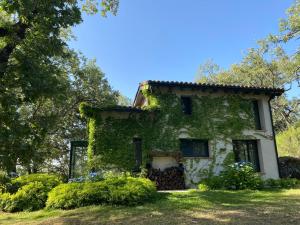 Casa Rural Finca De Musgo