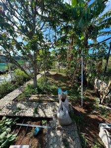 House, Swimming pool, Sports courts