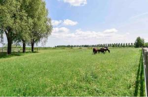 Guesthouse in Hoofddorp close to Schiphol