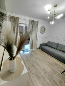 APARTAMENT FRYDRYCHOWICZA przy Politechnice i Onkologii