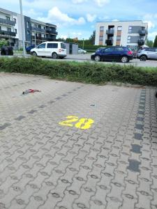 APARTAMENT FRYDRYCHOWICZA przy Politechnice i Onkologii