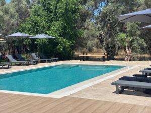 Olive Tree Apartments