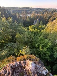 2 Lipy Jura Dom w lesie koło zalewu i skał Kostkowice