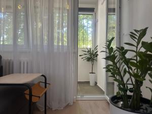 Juga lux apartment