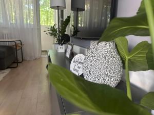 Juga lux apartment