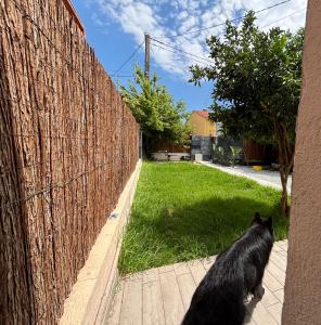 Vicens villa