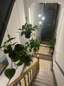 European District Apartment Seven