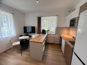 Apartmán Dolánky