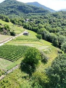 Maisonnette des vignes