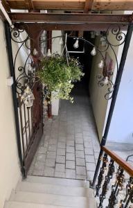 Old Town Lerosa Aaluna Boutique Apartment