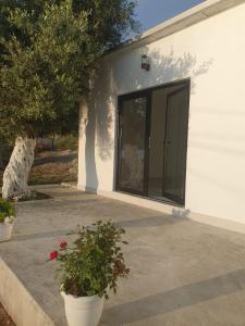 Rajan apartement