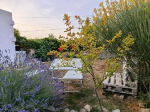 Trullo in piena valle ditria del 1800