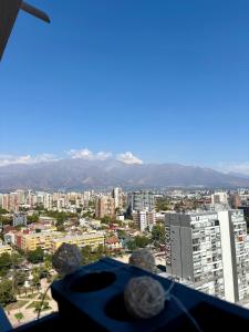 Vista Cordillera