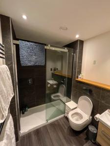 Modern flat in New Town