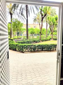 LUXURY APARTMENT SCIENCES CITY Valencia B