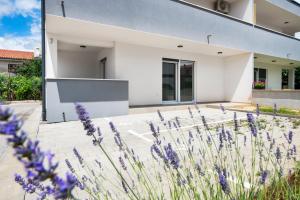Apartman Luna