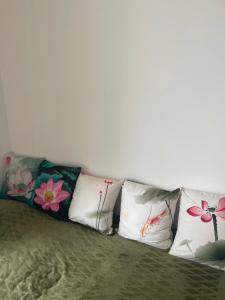 Canary Nest Solforest Ecopark Homestay