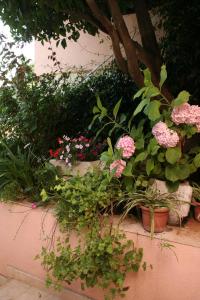 Rooms by the sea Vrboska (Hvar) - 4600