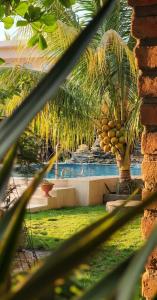 Villa del Sol Garden at the Beach