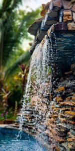 Villa del Sol Garden at the Beach