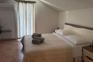 Seaside holiday house Tkon, Pasman - 19913