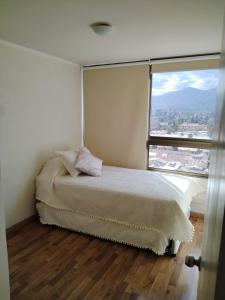 Renovated and Spacious apartment in Santiago!