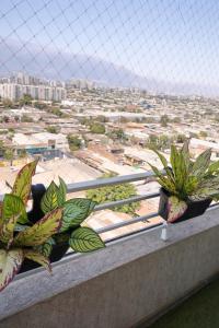 Renovated and Spacious apartment in Santiago!