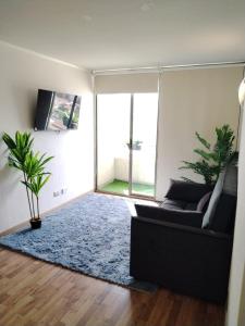 Renovated and Spacious apartment in Santiago!
