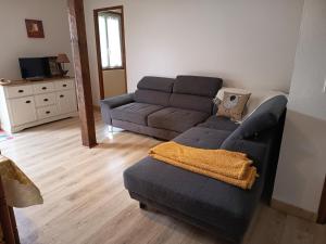 Maison rurale pour 6 pers. avec piscine partagée et animaux accueillis à Capy - FR-1-616-396