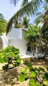 Casa Kaak Naab