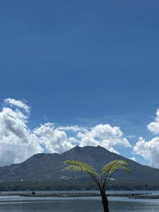 Surya Camp Buahan