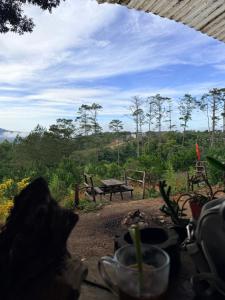 Hương Lúa Homestay Măng Đen