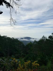 Hương Lúa Homestay Măng Đen