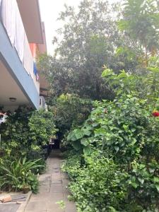 Hotel Mountain Villa