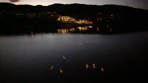 Lake View Żywiec Resort & SPA
