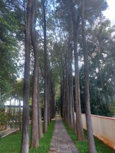 Residency Holiday Resort - calm, peaceful and fun stays
