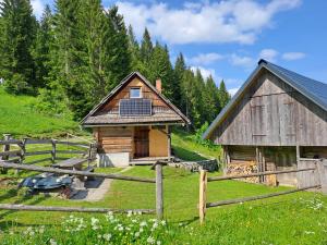 Koča na planini Jelje - Pokljuka