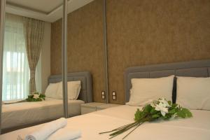 Velvet Apartment