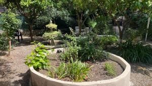 The Quiet Garden at San Giovanni