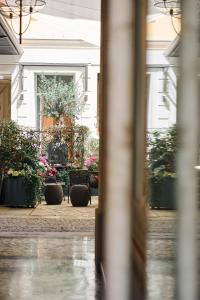 Ariosto Living