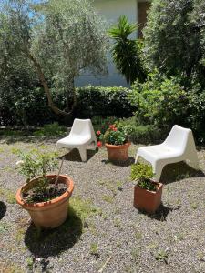 Centrally located two-room apartment in Castiglioncello