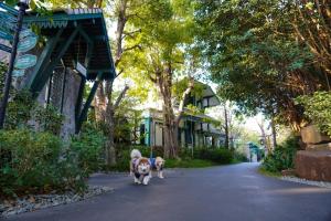 InterContinental Khao Yai Resort by IHG
