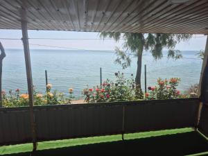 Будинок на морі